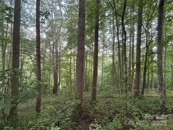 $90,000 | 100 South Lindon Cove Road, Unit 35 36, Candler, NC 28715