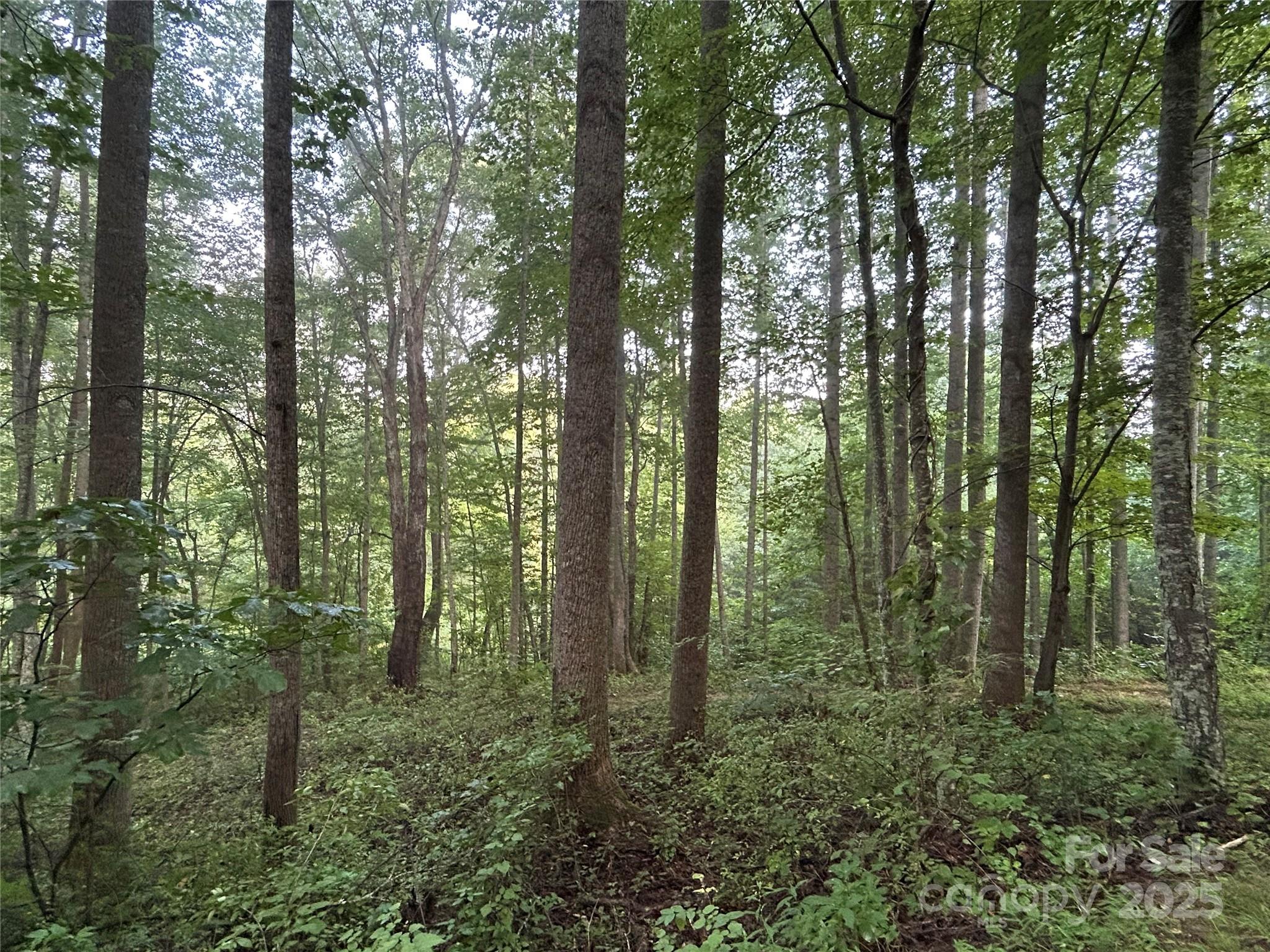 100 South Lindon Cove Road, Unit 35 36 Candler, NC 28715 - Photo 3 of 16