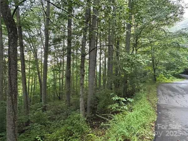 $90,000 | 100 South Lindon Cove Road, Unit 35 36, Candler, NC 28715