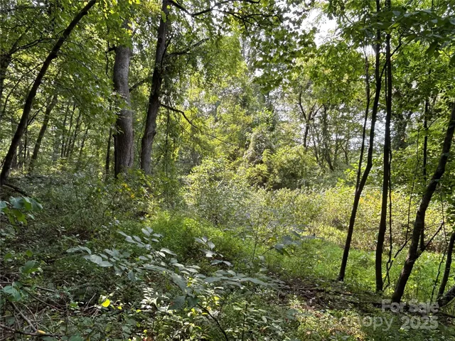 $90,000 | 100 South Lindon Cove Road, Unit 35 36, Candler, NC 28715