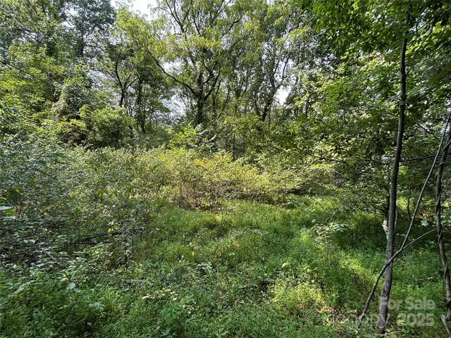 $90,000 | 100 South Lindon Cove Road, Unit 35 36, Candler, NC 28715