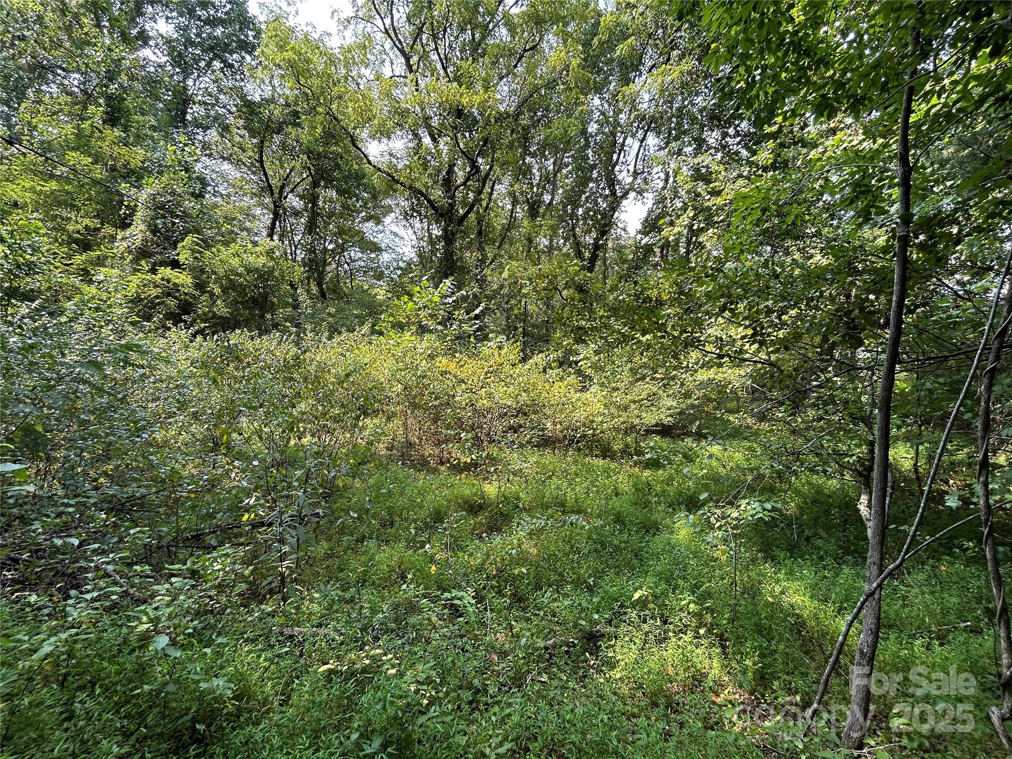 100 South Lindon Cove Road, Unit 35 36 Candler, NC 28715 - Photo 6 of 16