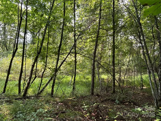 $90,000 | 100 South Lindon Cove Road, Unit 35 36, Candler, NC 28715