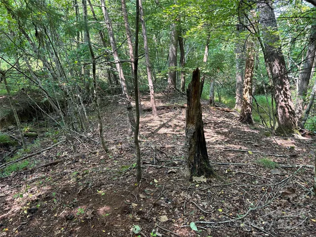 $90,000 | 100 South Lindon Cove Road, Unit 35 36, Candler, NC 28715