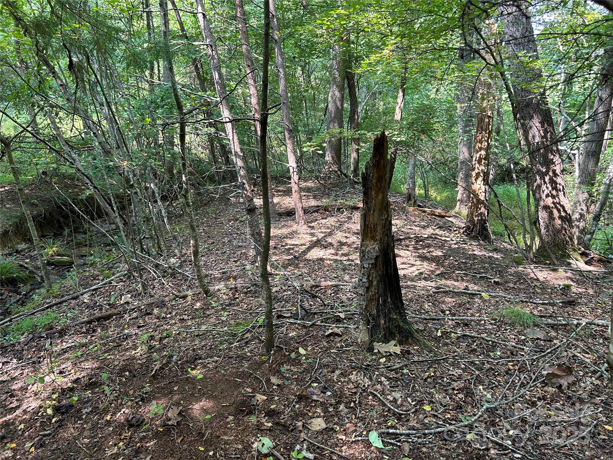 100 South Lindon Cove Road, Unit 35 36 Candler, NC 28715 - Photo 8 of 16