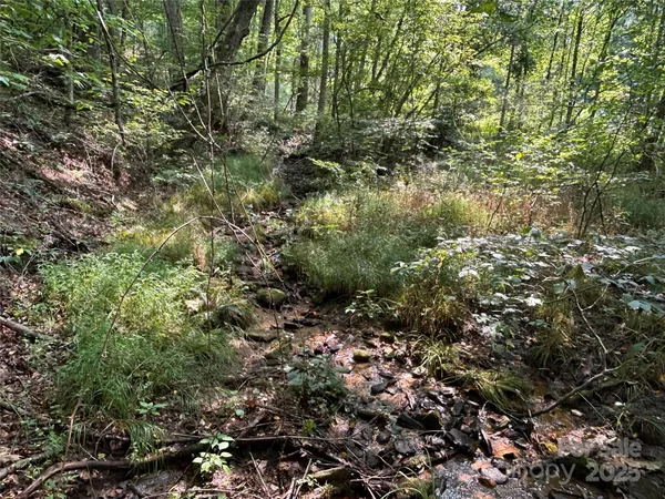 $90,000 | 100 South Lindon Cove Road, Unit 35 36, Candler, NC 28715