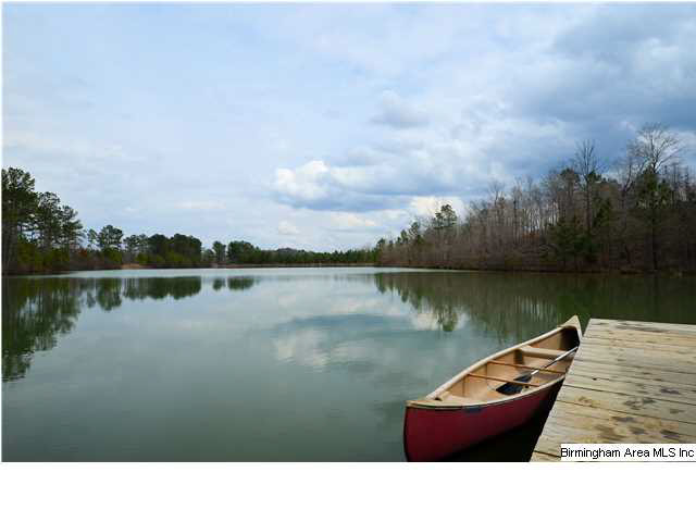 351 Horton Cove Road Calera, AL 35040 - Photo 3 of 32