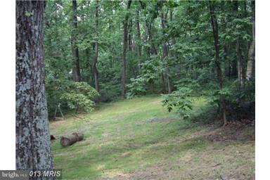 251 Delicious Road Linden, VA 22642 - Photo 23 of 27 a view of a forest with trees in the background