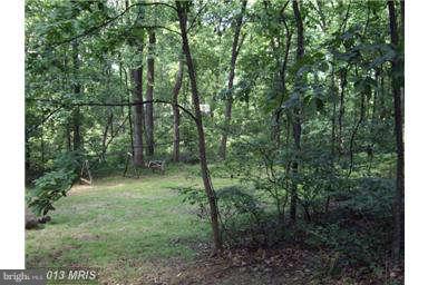 251 Delicious Road Linden, VA 22642 - Photo 24 of 27 a view of outdoor space and green space