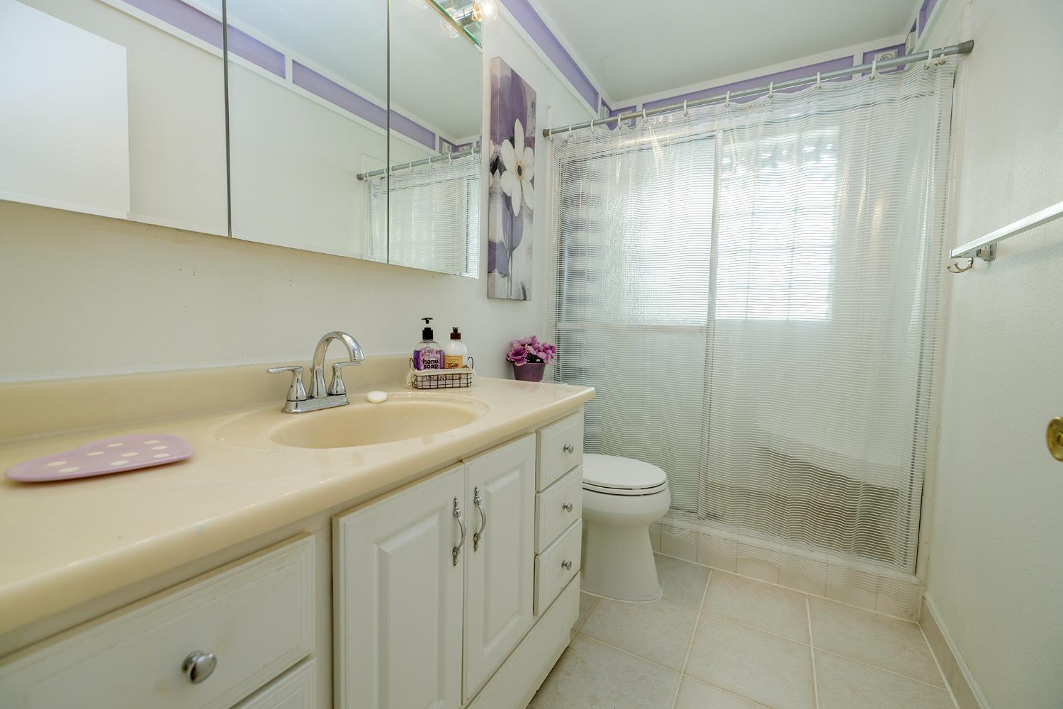 617 West Granger Avenue, Unit 48 Modesto, CA 95350 - Photo 16 of 27 a bathroom with a sink toilet and shower