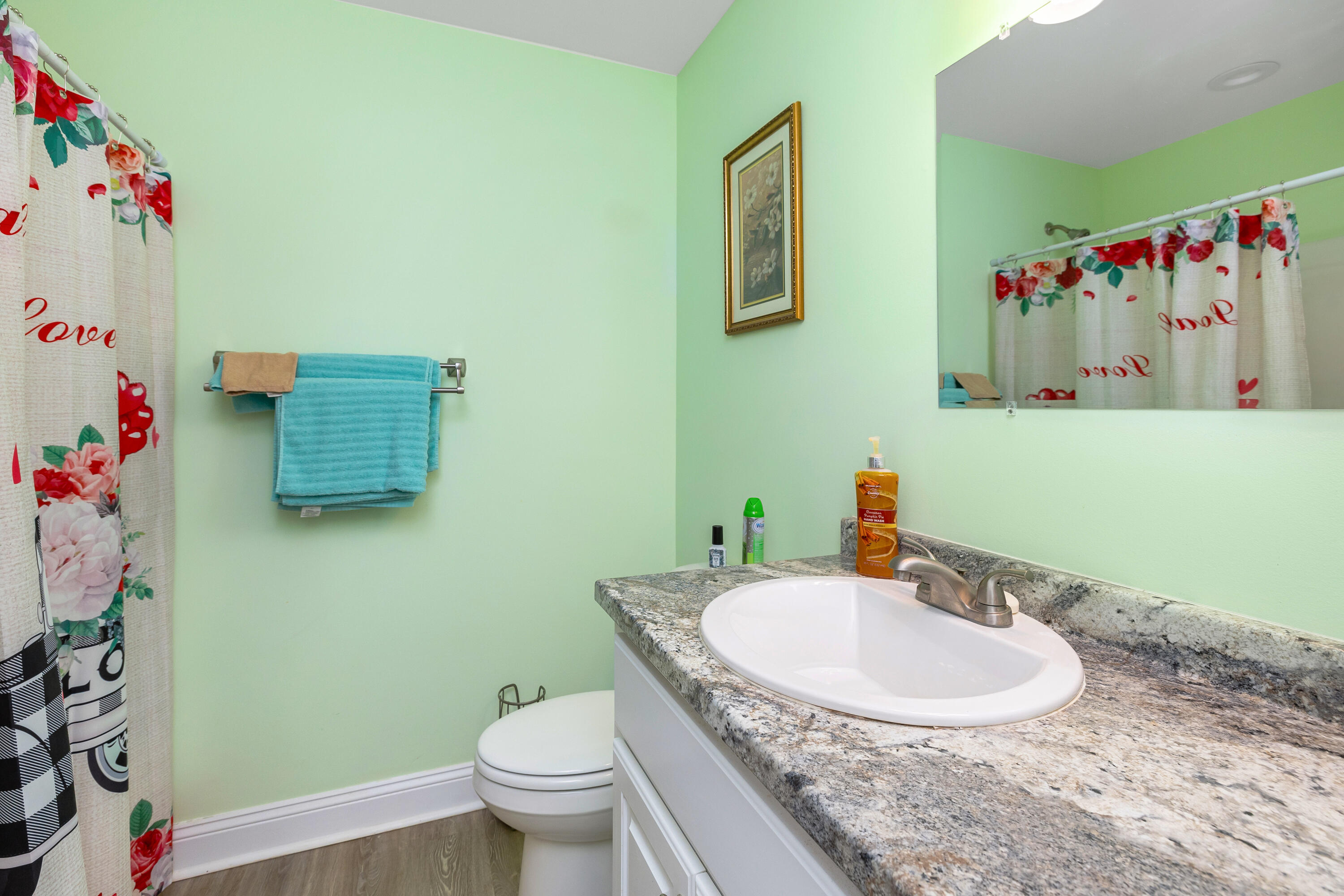 1824 Camp Shelor Road Manning, SC 29102 - Photo 18 of 44 43