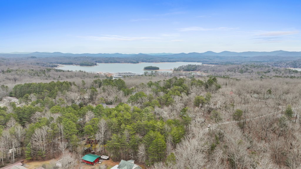 Lot 5 Red Bird Blue Ridge Blue Ridge, GA 30513 - Photo 9 of 16 Gallery Image 9