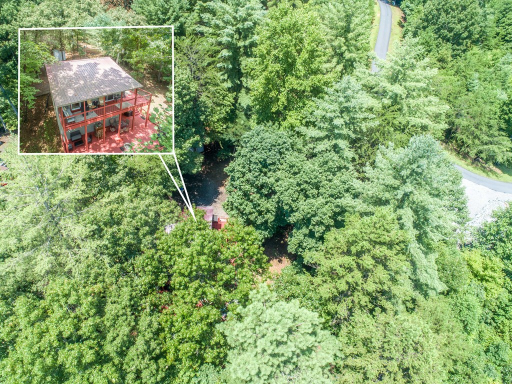 245 Mountain Stream Road Murphy, NC 28906 - Photo 7 of 38