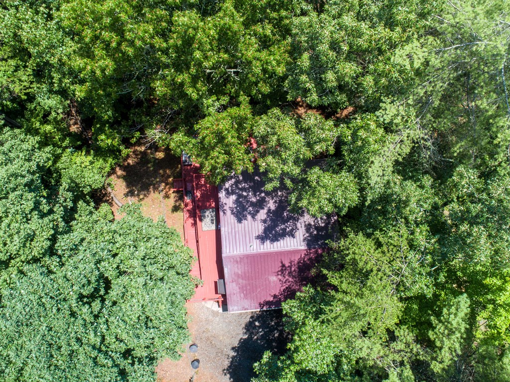245 Mountain Stream Road Murphy, NC 28906 - Photo 8 of 38
