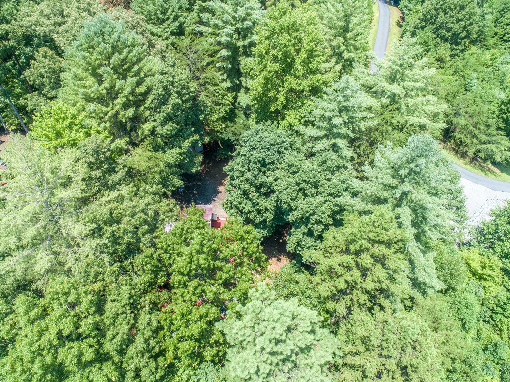 245 Mountain Stream Road Murphy, NC 28906 - Photo 9 of 38