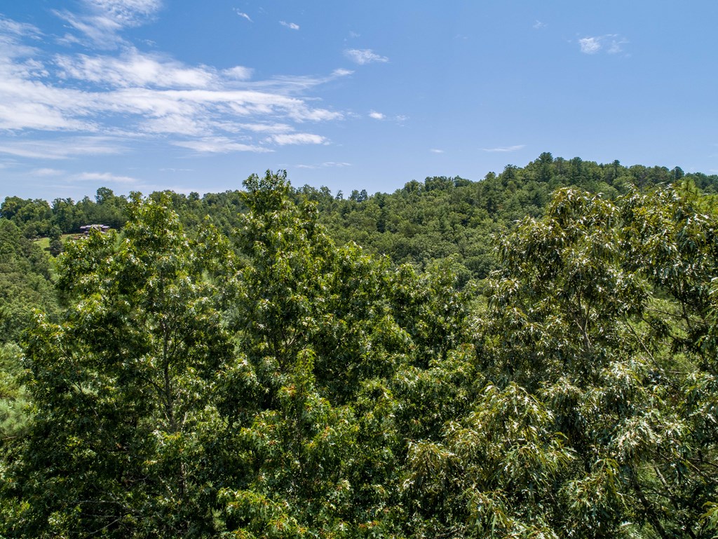 245 Mountain Stream Road Murphy, NC 28906 - Photo 10 of 38