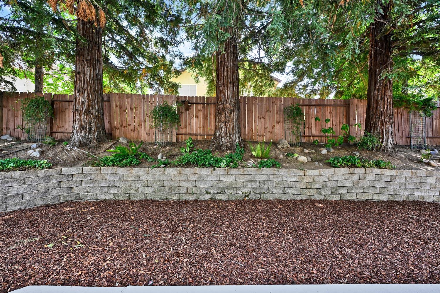 3119 Strand Road Rocklin, CA 95765 - Photo 39 of 44