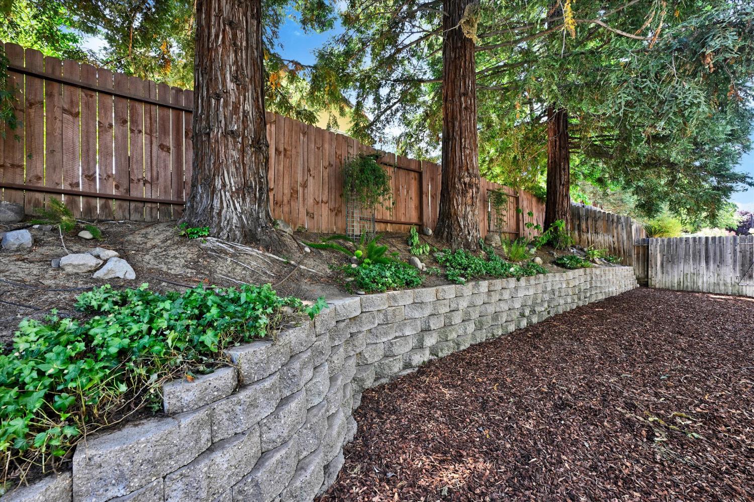 3119 Strand Road Rocklin, CA 95765 - Photo 44 of 44