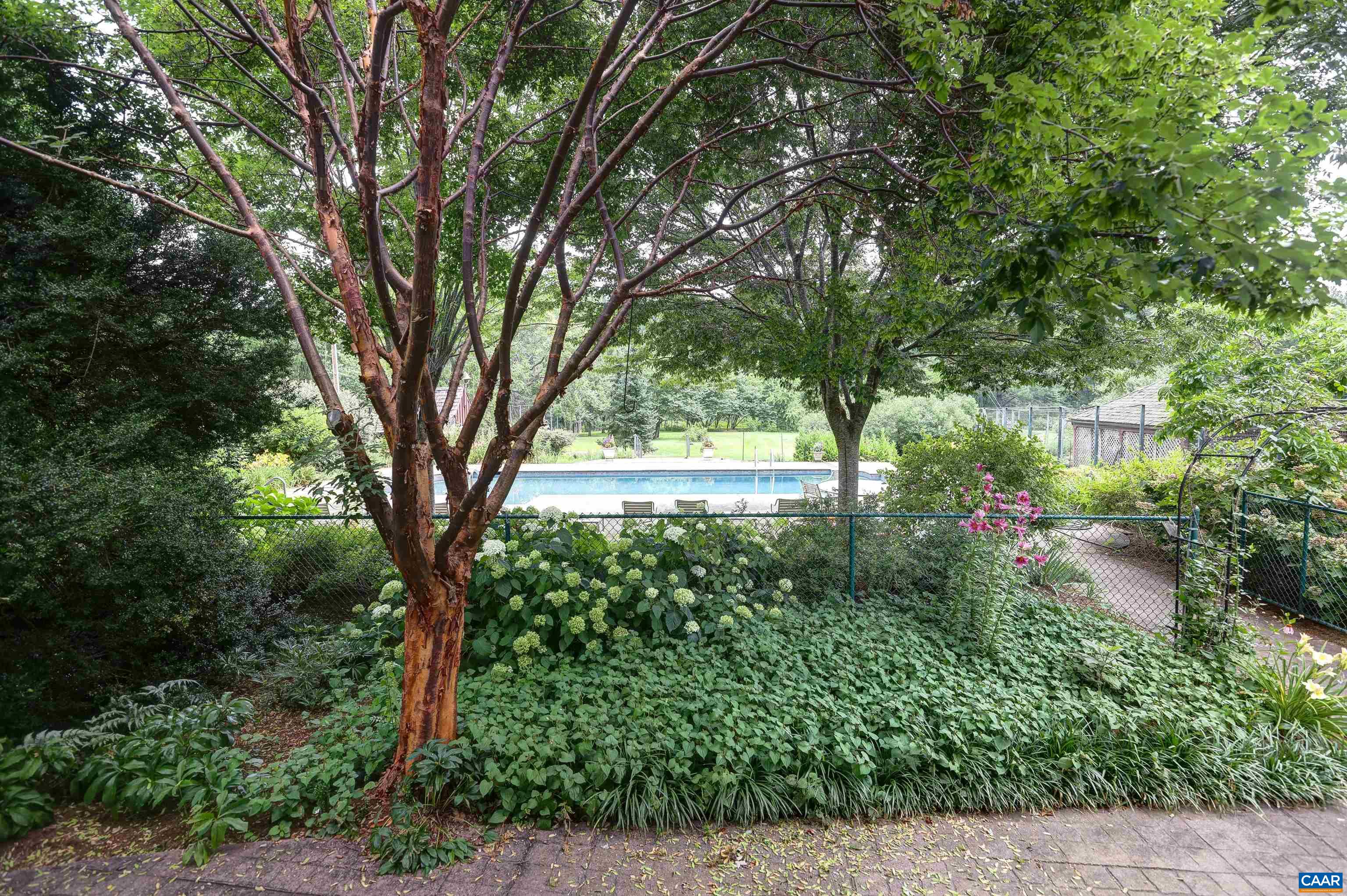 2051 Polo Grounds Road Charlottesville, VA 22911 - Photo 43 of 74 a view of yard with green space