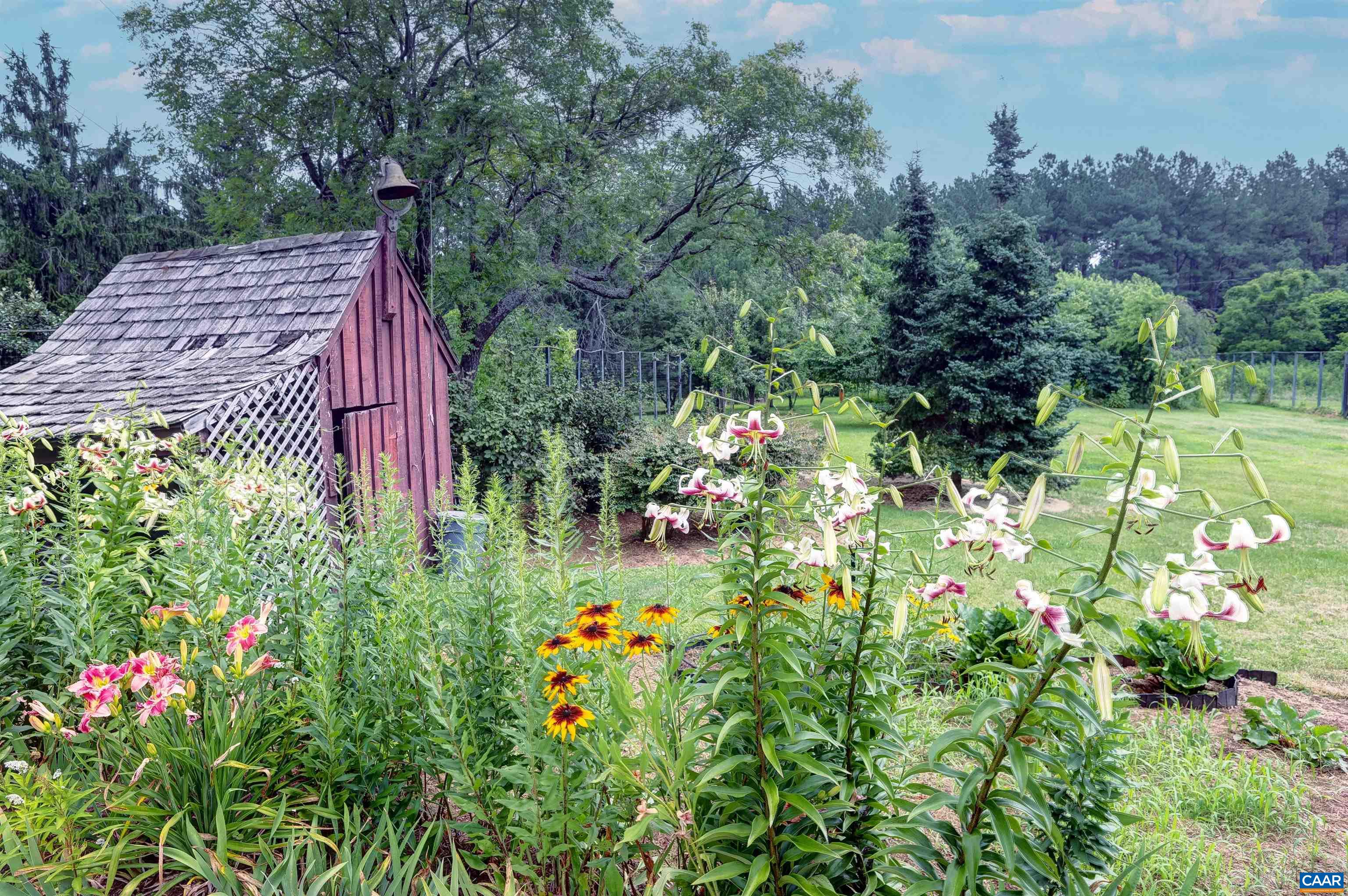 2051 Polo Grounds Road Charlottesville, VA 22911 - Photo 51 of 74 a view of a flower in a garden