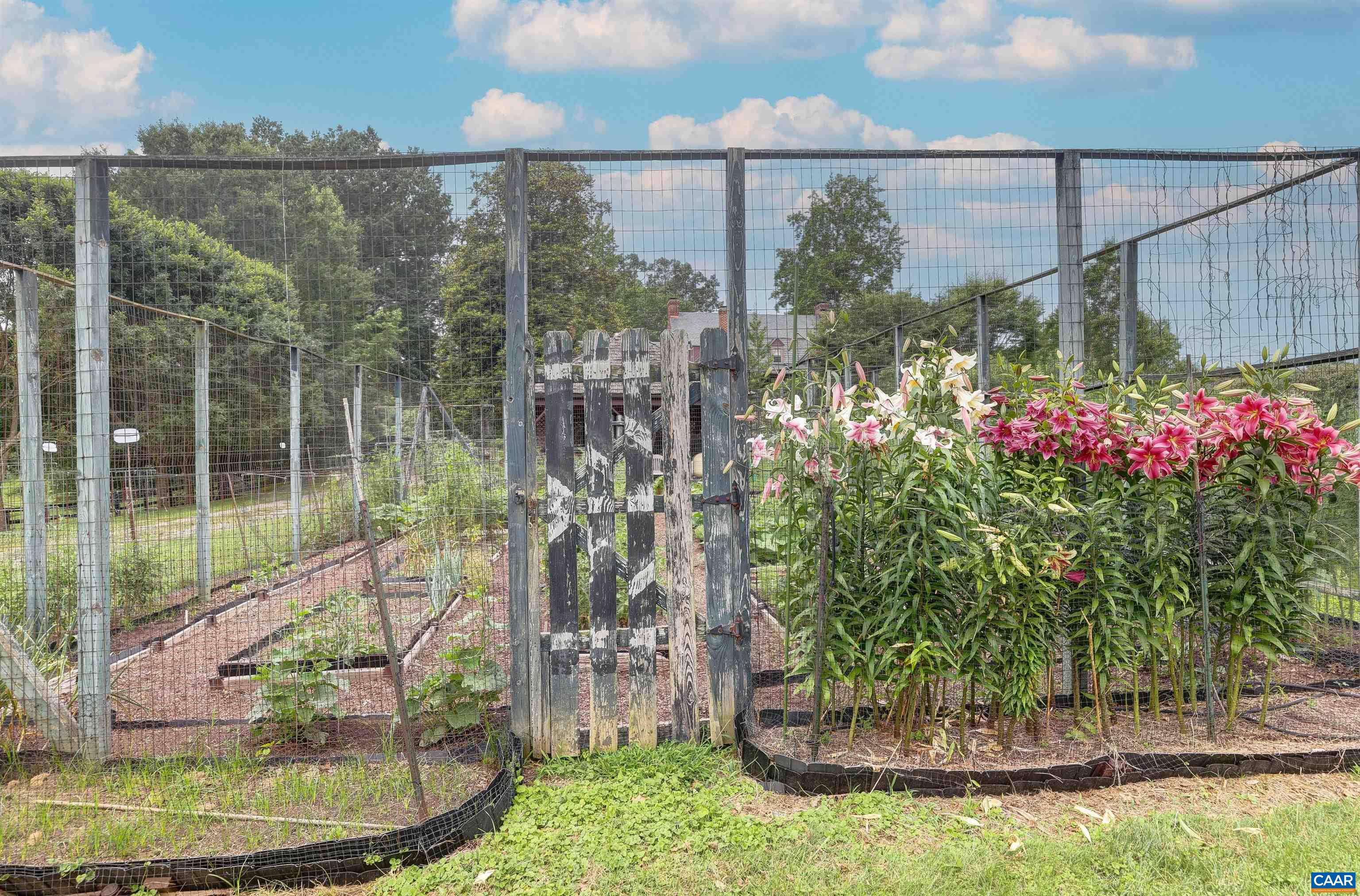 2051 Polo Grounds Road Charlottesville, VA 22911 - Photo 55 of 74 a view of a bird bath room