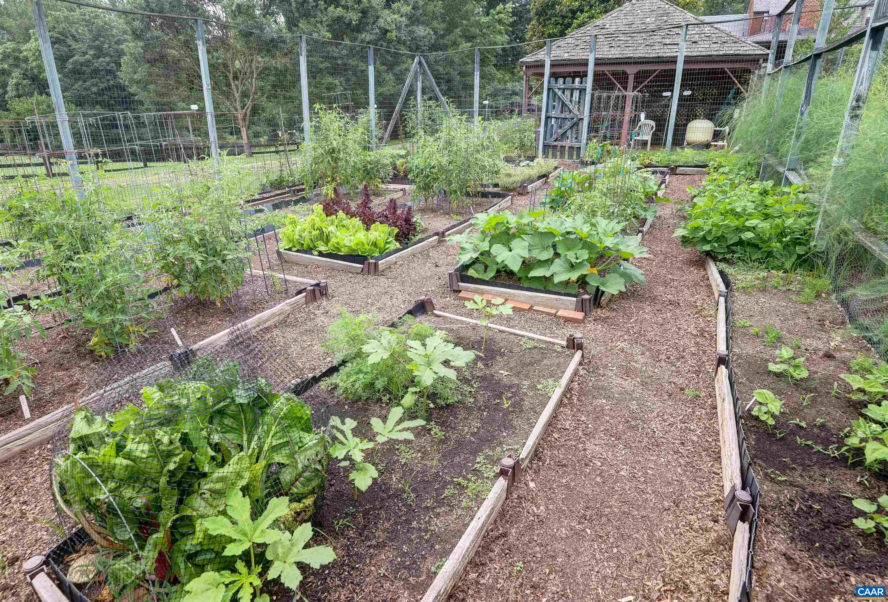 2051 Polo Grounds Road Charlottesville, VA 22911 - Photo 56 of 74 a view of a garden with plants and a fountain