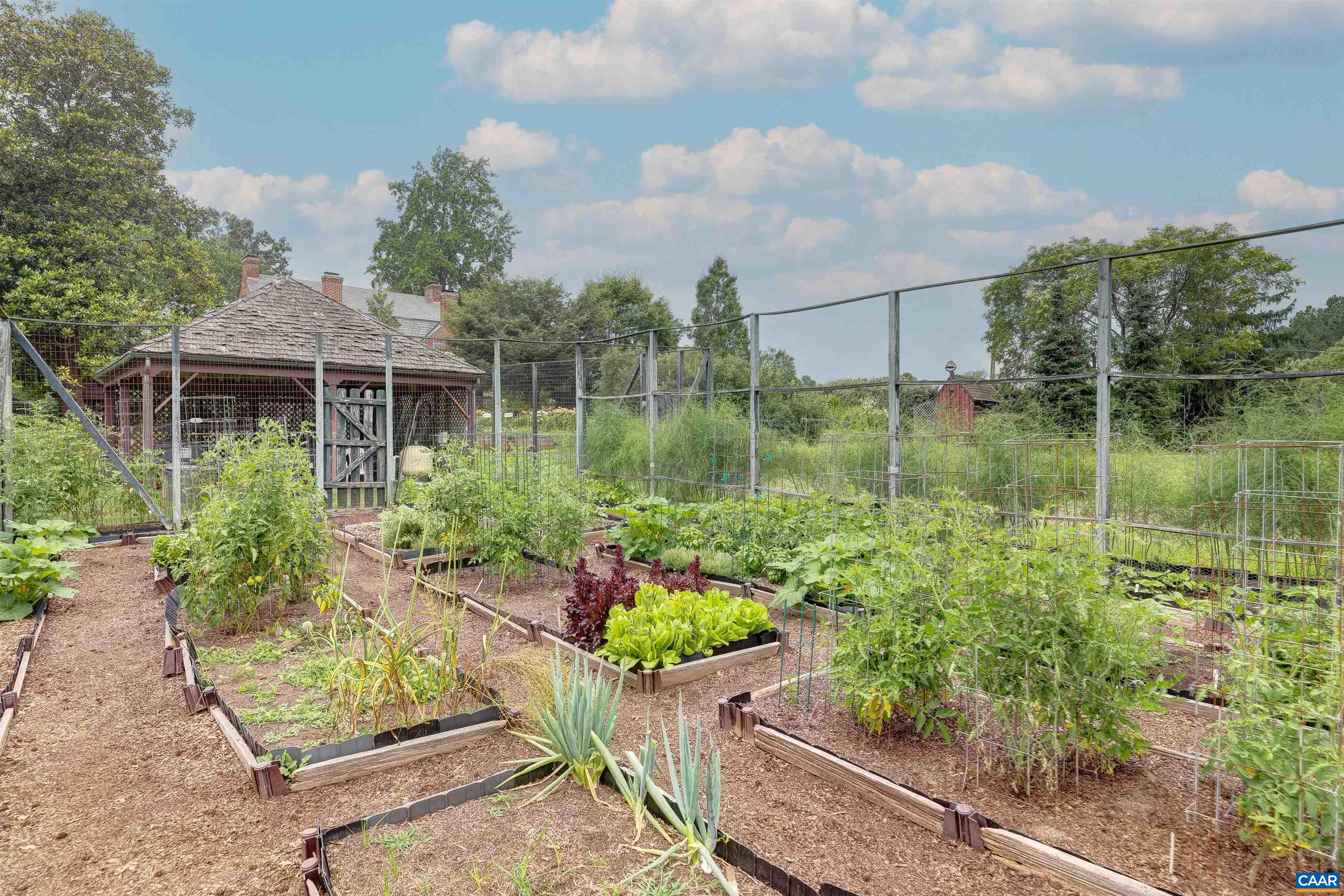 2051 Polo Grounds Road Charlottesville, VA 22911 - Photo 57 of 74 a garden filled with lots of potted plants