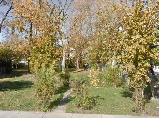 a view of a yard