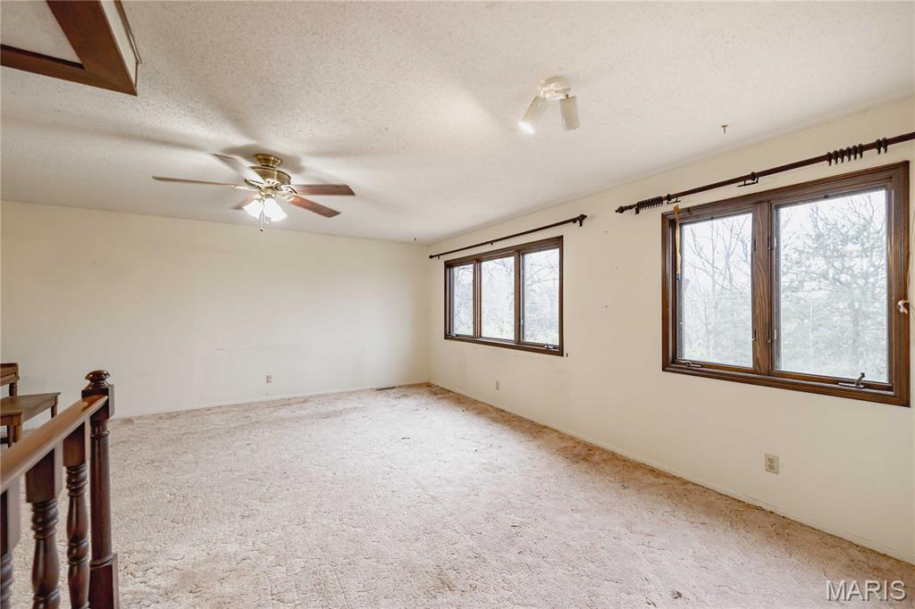 333 Rue Chambly Bonne Terre, MO 63628 - Photo 16 of 53