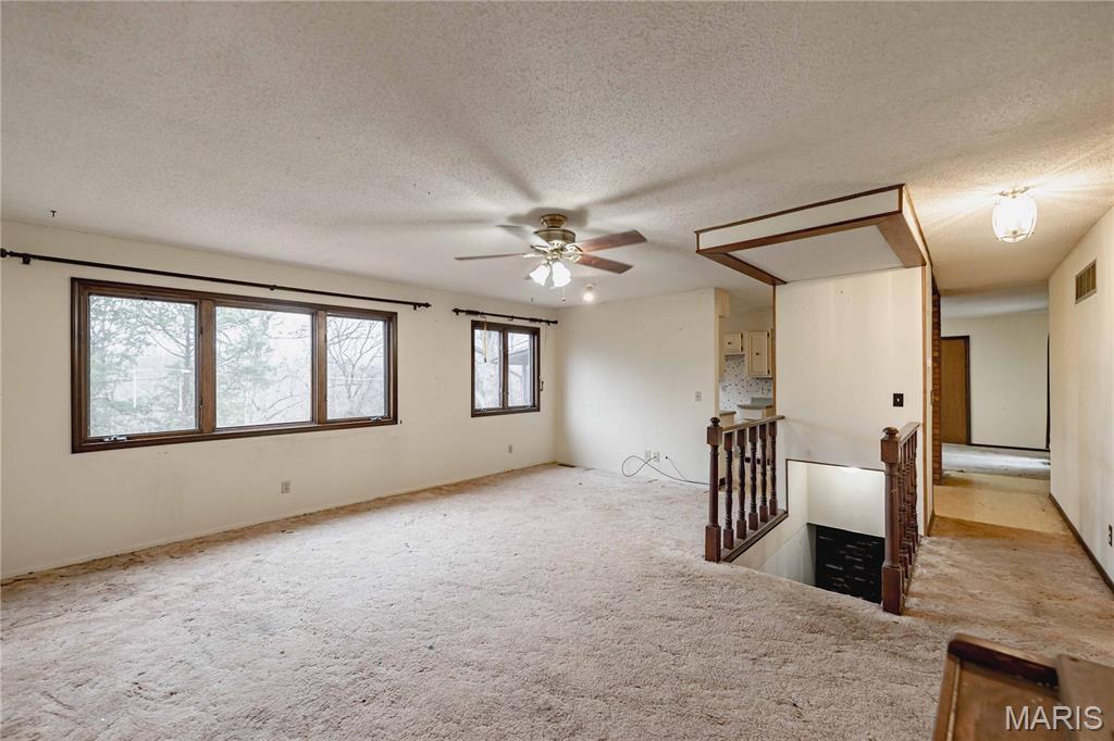 333 Rue Chambly Bonne Terre, MO 63628 - Photo 19 of 53