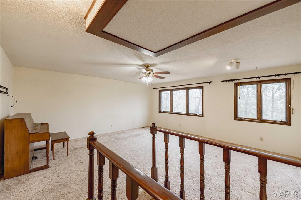 333 Rue Chambly Bonne Terre, MO 63628 - Photo 20 of 53