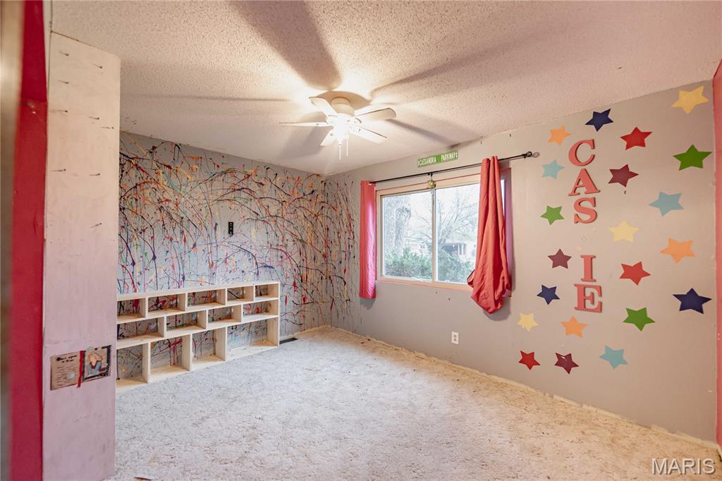 333 Rue Chambly Bonne Terre, MO 63628 - Photo 26 of 53