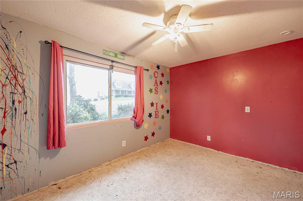 333 Rue Chambly Bonne Terre, MO 63628 - Photo 29 of 53