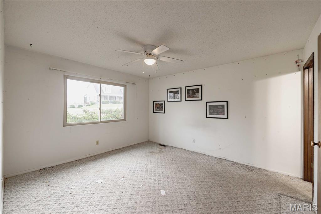 333 Rue Chambly Bonne Terre, MO 63628 - Photo 30 of 53