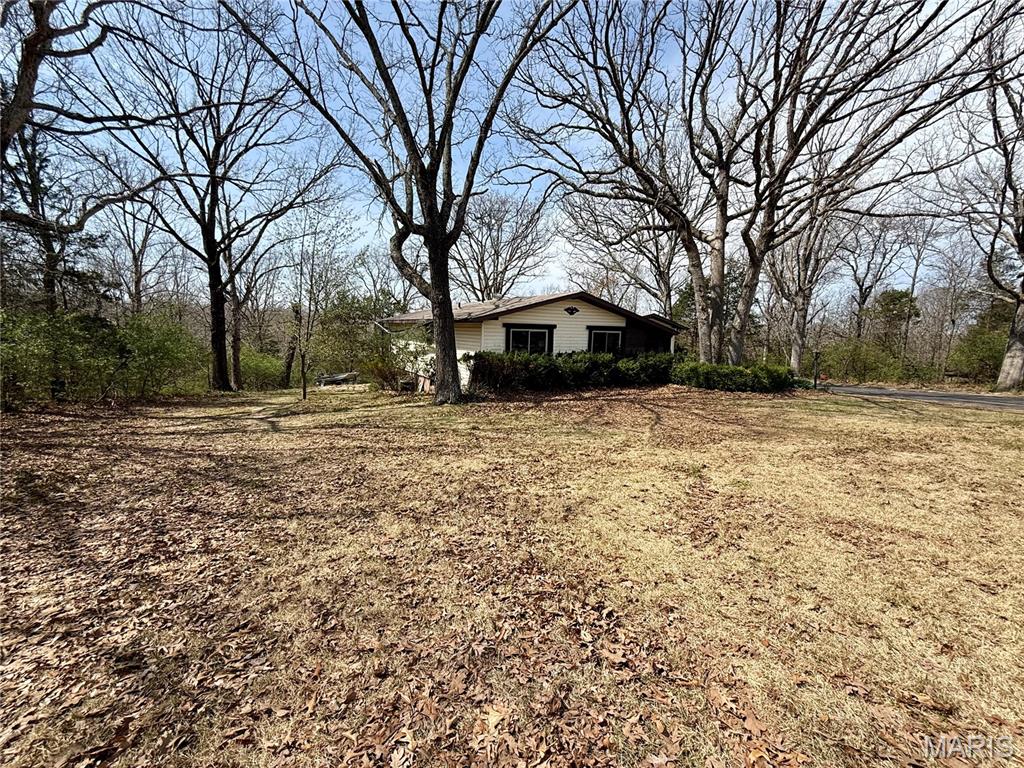 333 Rue Chambly Bonne Terre, MO 63628 - Photo 3 of 53