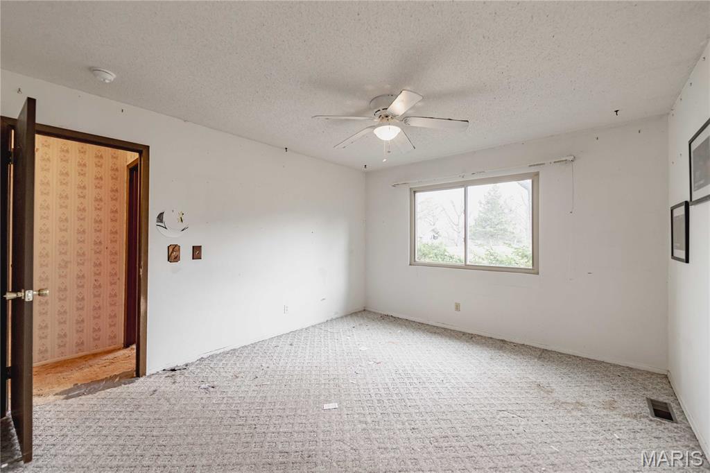 333 Rue Chambly Bonne Terre, MO 63628 - Photo 33 of 53