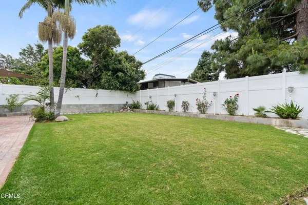 a view of a backyard