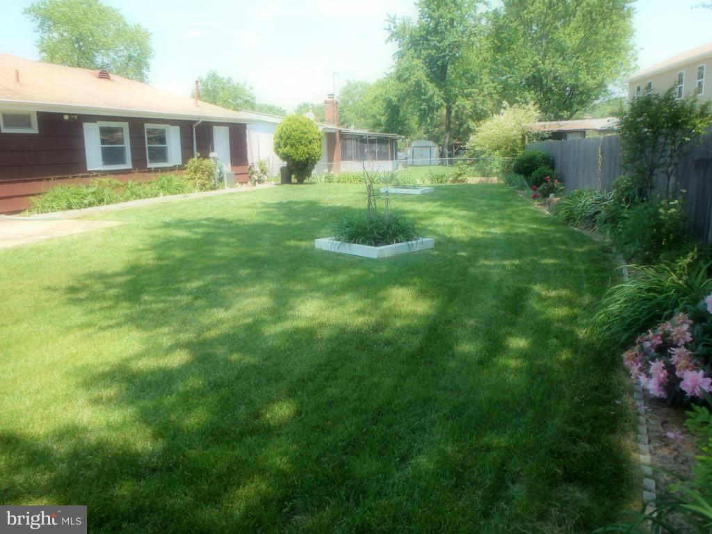 6215 Apache Street Springfield, VA 22150 - Photo 4 of 17 Exterior (Rear)