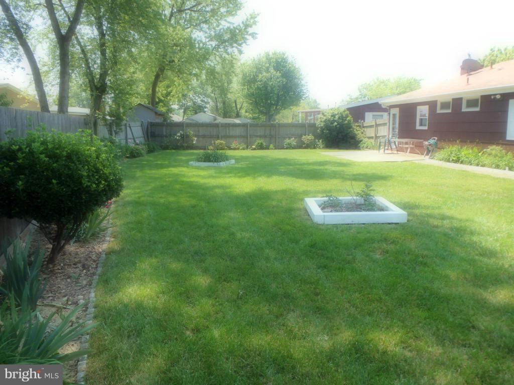 6215 Apache Street Springfield, VA 22150 - Photo 5 of 17 Exterior (Rear)