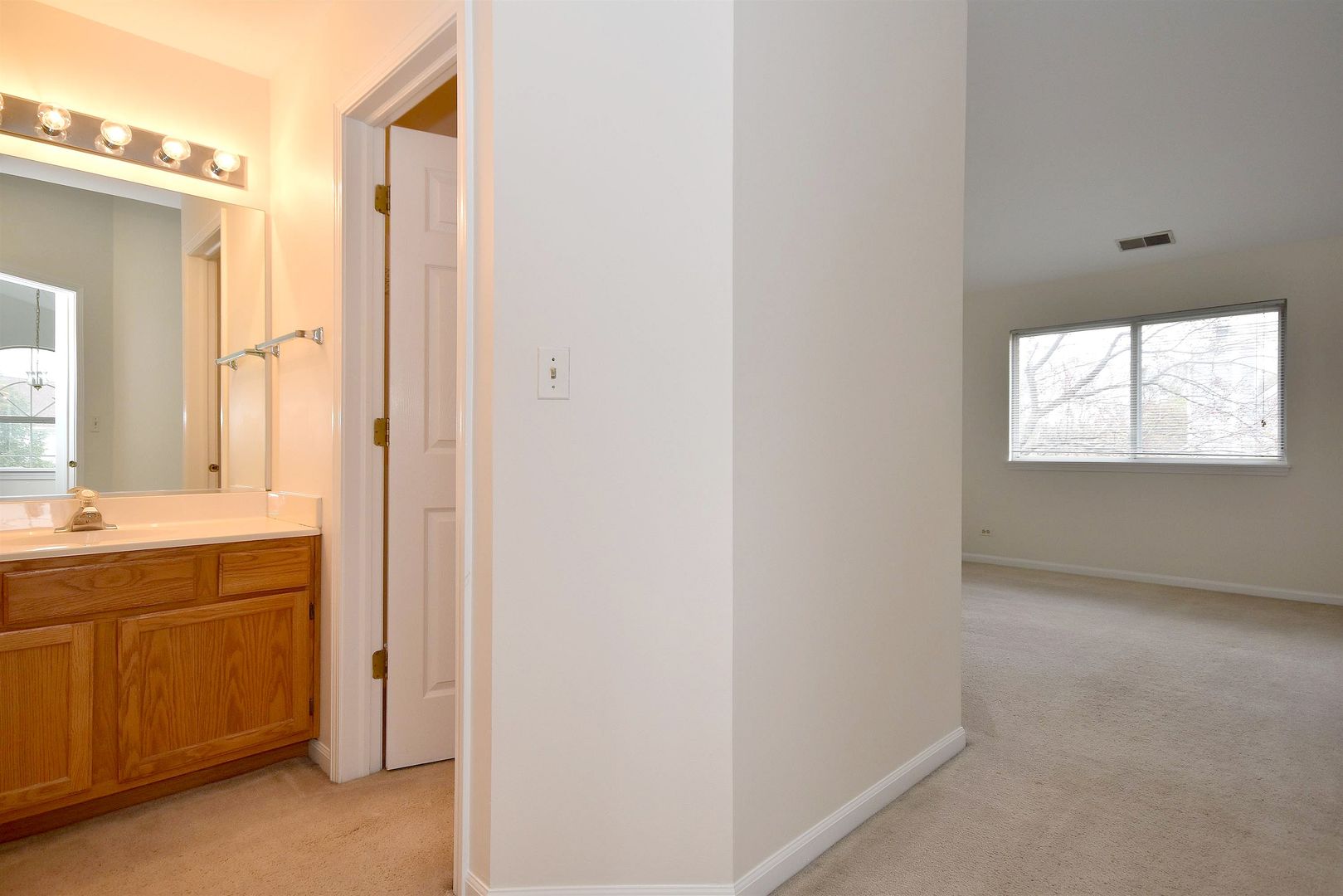 8343 Ripple Ridge Darien, IL 60561 - Photo 26 of 32 a bathroom with a sink and a mirror