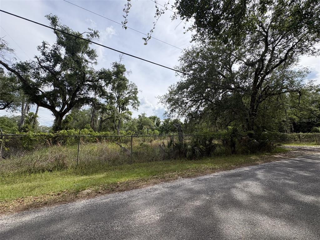 101 Collins Road Osteen, FL 32764 - Photo 1 of 5 a backyard of a house with lots of green space