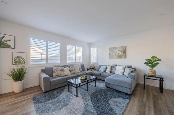 a living room with furniture and a potted plant