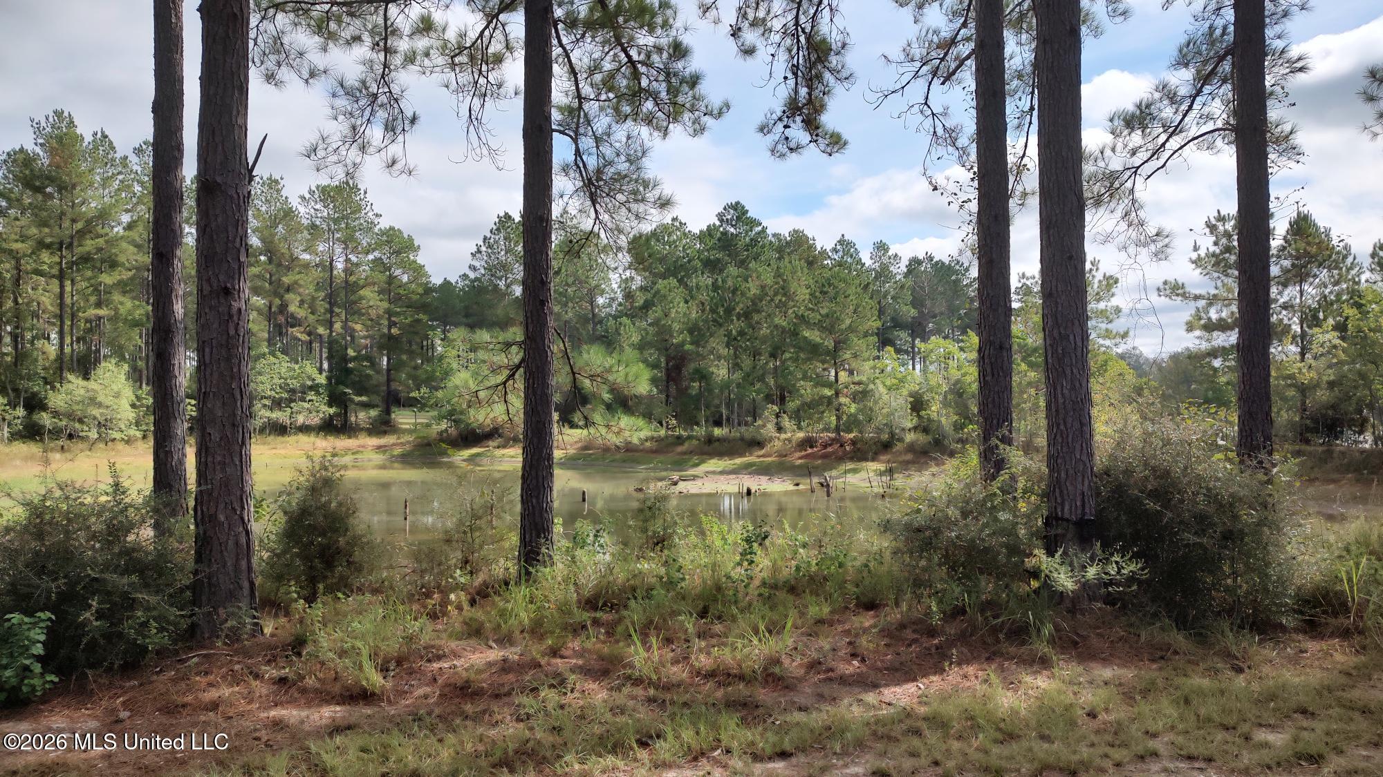 0 Ms-13 Lumberton, MS 39455 - Photo 1 of 6 Main view