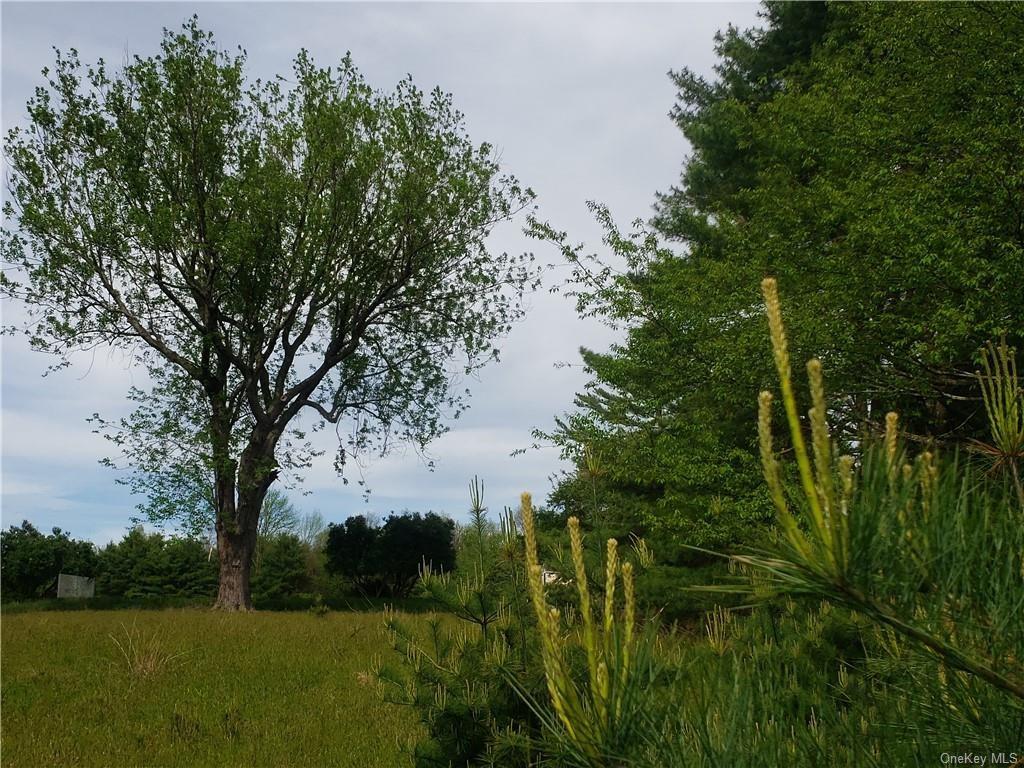 Mud Pond Road Highland Lake, NY 12743 - Photo 1 of 1