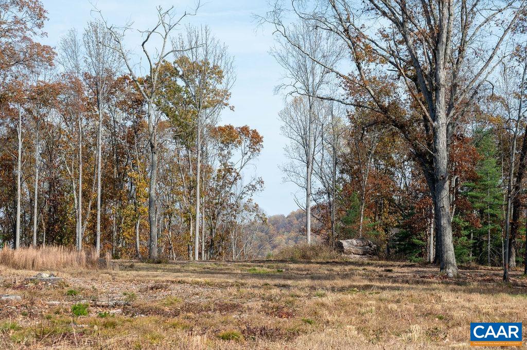 Tbd Red Hill Road Charlottesville, VA 22903 - Photo 10 of 50 a view of dirt yard with large trees