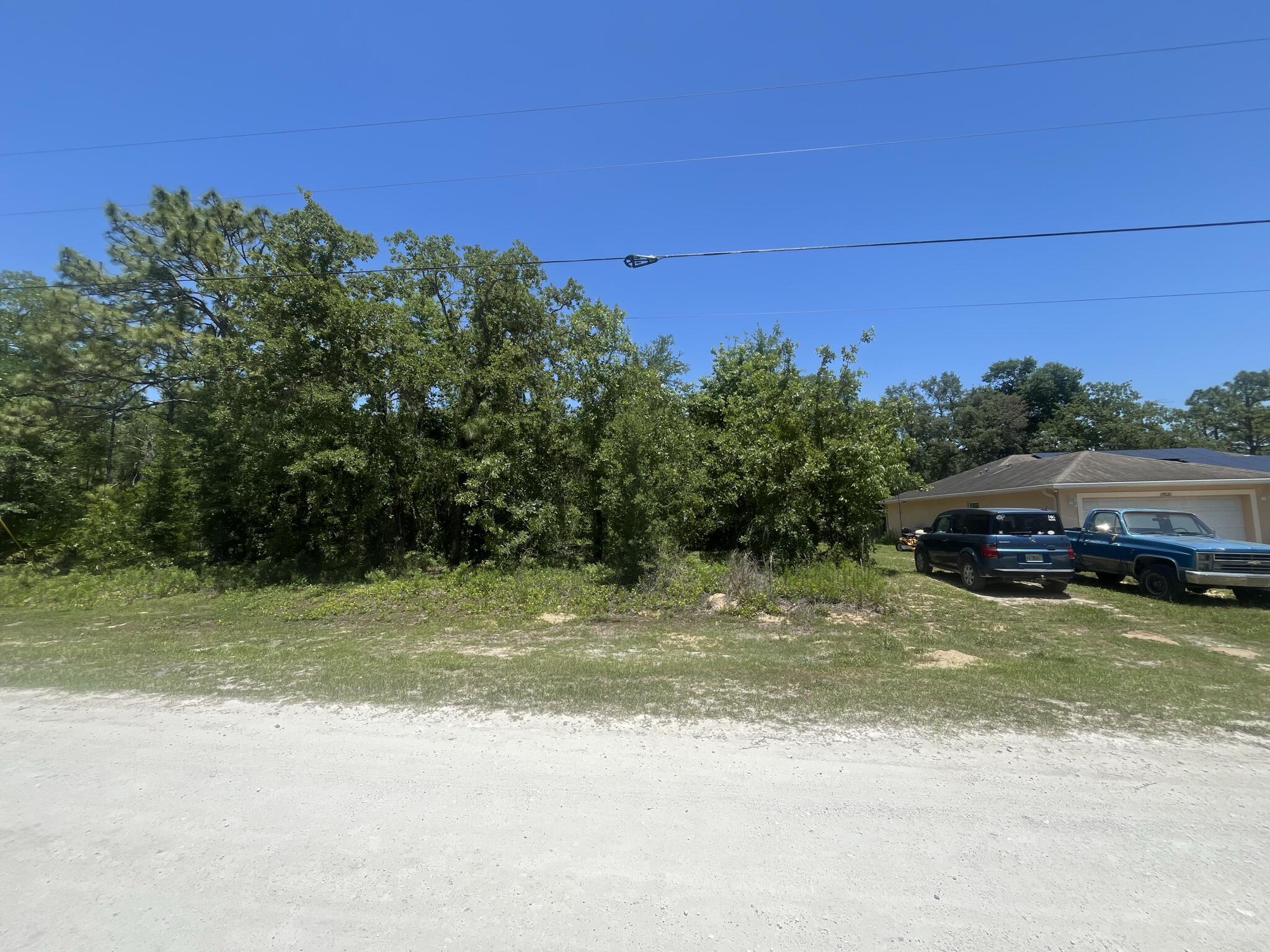 Tbd Cliff Swallow Road Weeki Wachee, FL 34614 - Photo 2 of 9 IMG_6803_14