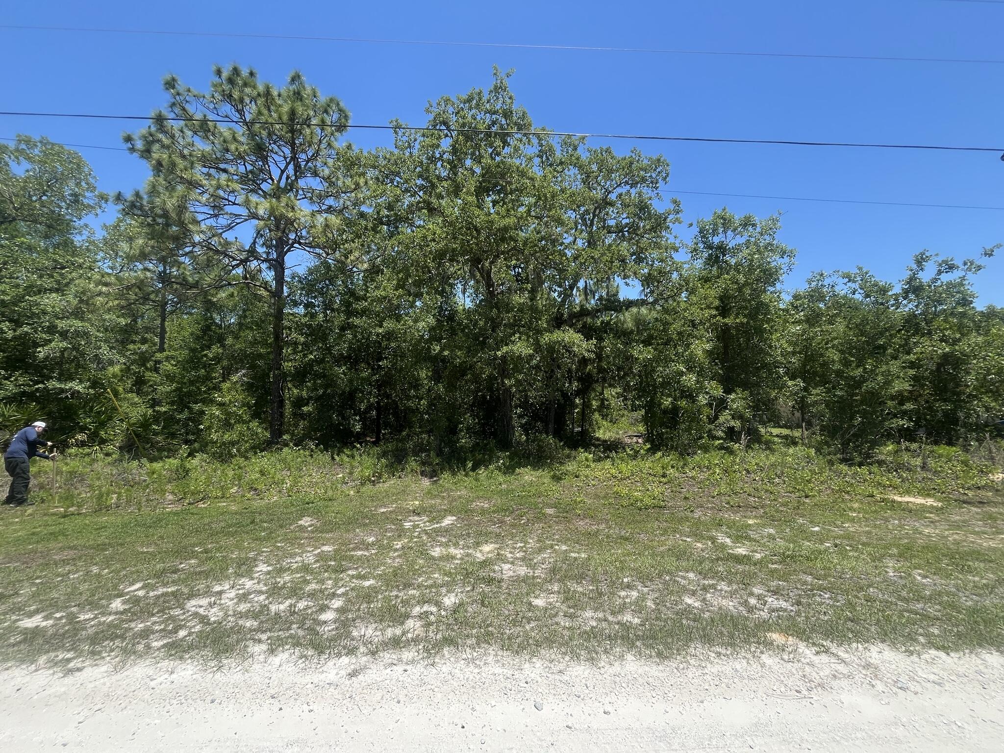 Tbd Cliff Swallow Road Weeki Wachee, FL 34614 - Photo 5 of 9 IMG_6798_14