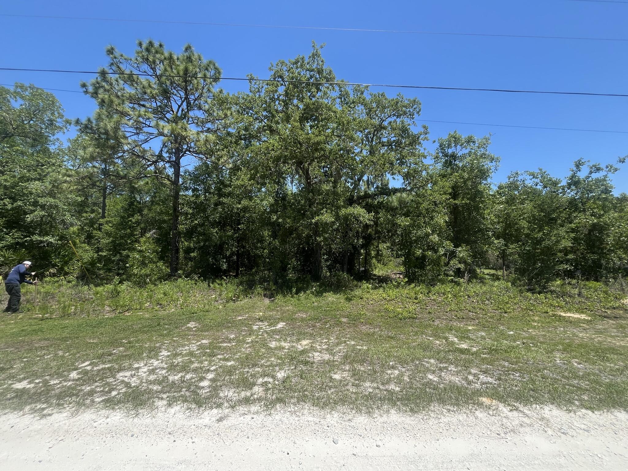 Tbd Cliff Swallow Road Weeki Wachee, FL 34614 - Photo 6 of 9 IMG_6799_14