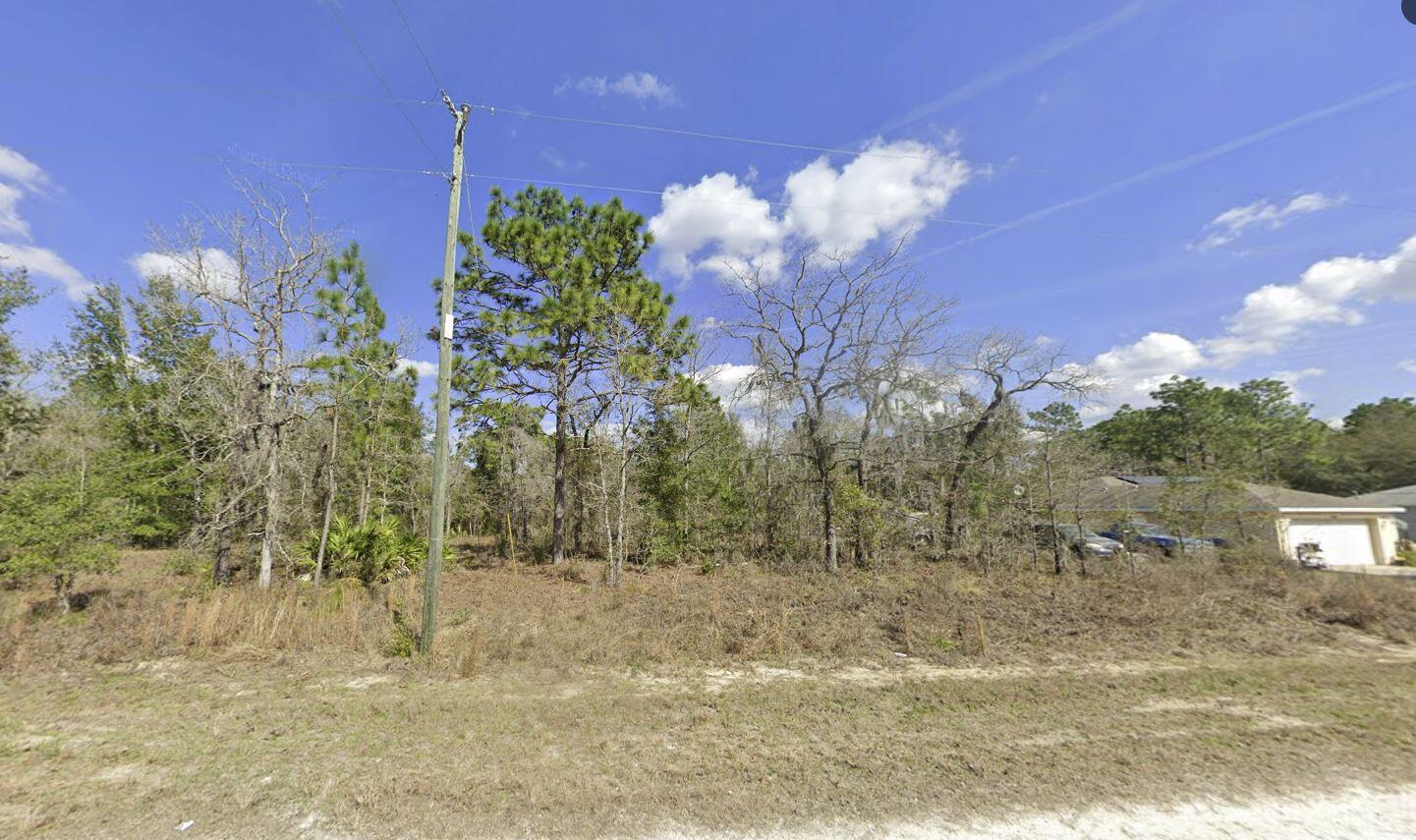 Tbd Cliff Swallow Road Weeki Wachee, FL 34614 - Photo 8 of 9 cliffswallow 2