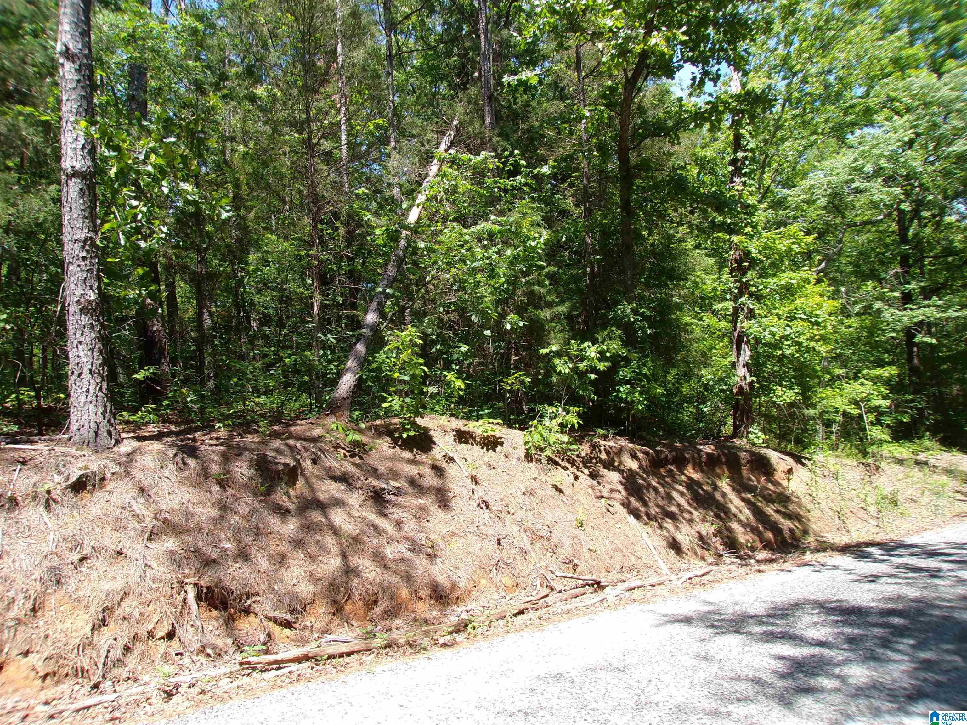 1 St Mary Road South, Unit 1 Lincoln, AL 35096 - Photo 18 of 23
